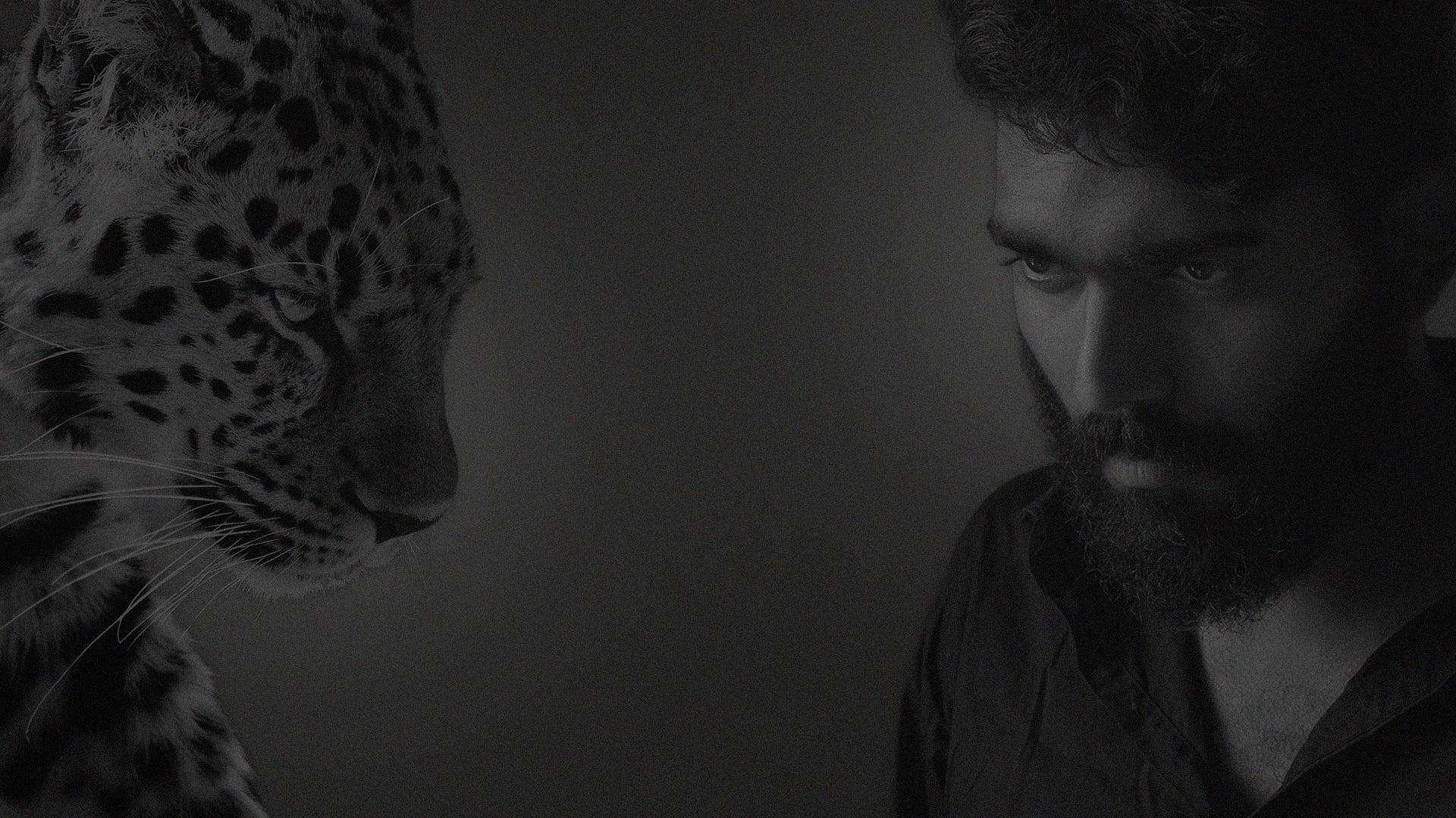 utilisation huile à barbe